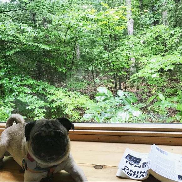 👽 welcome to Angie and Pupu's closet ✨ - Picture 8 of 8